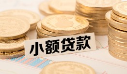 成都应急身份证贷款平台-成都应急私人借贷不查征信-成都应急空放借钱